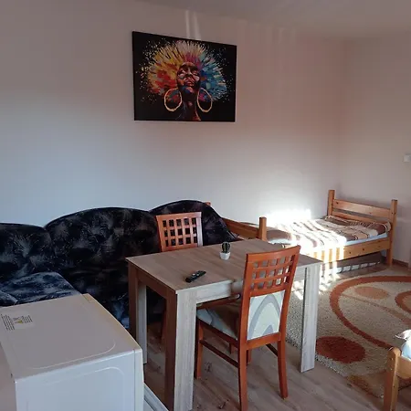 Vendegvaro Szallashely Sajoszentpeteren Homestay